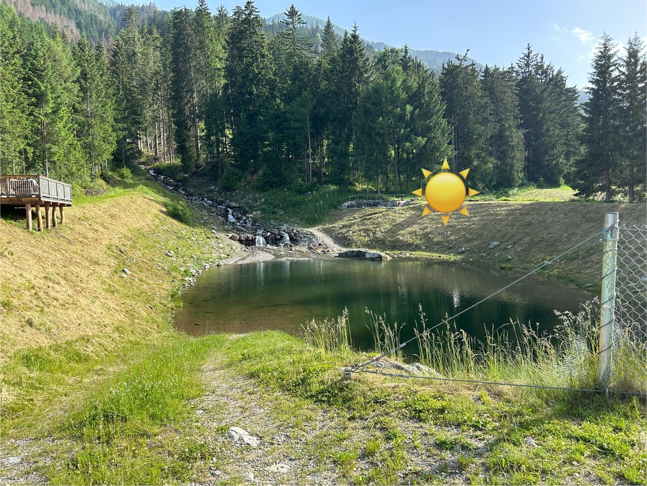 The pond is calling - swim like the frogs!
