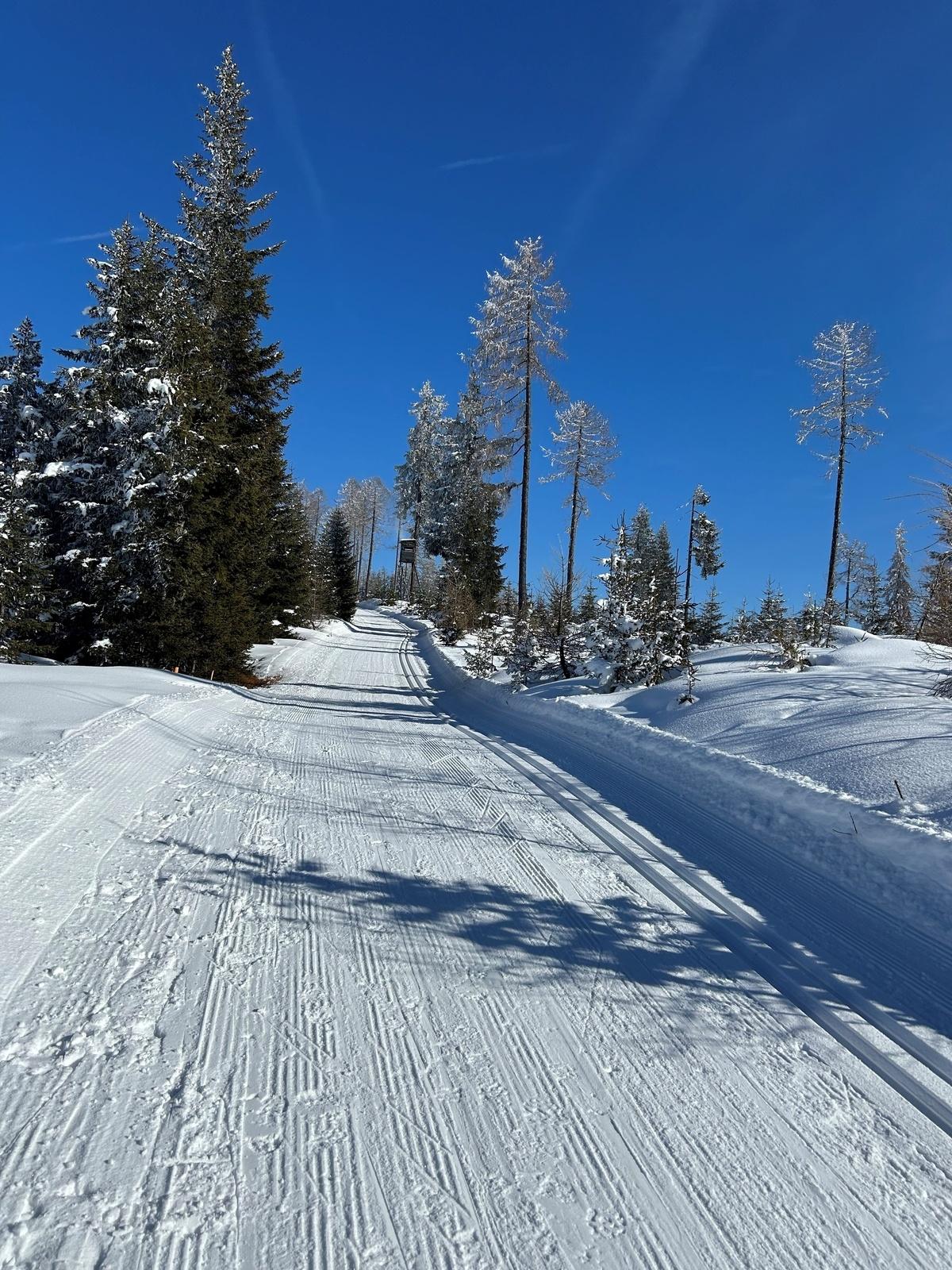 Winter hiking: Fiscalina Valley & Kartitsch