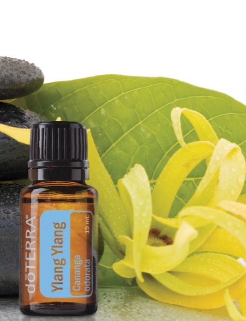 doTERRA イランイラン Ylang Ylang 15mL 2本セット Amazon.com: doTERRA Ylang Ylang Essential Oil - 15 ml : Health