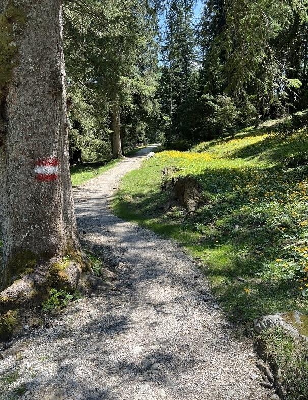 guided chef tour through the Salzkammergut region