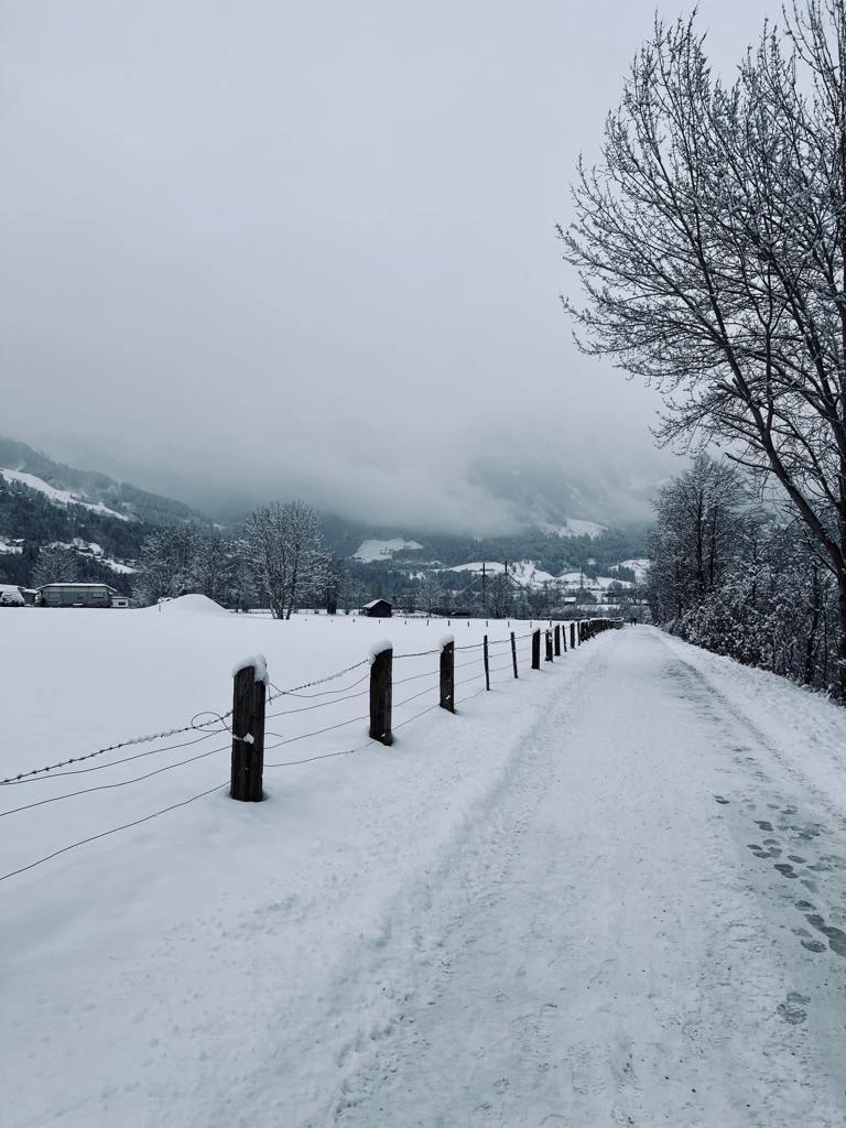 Salzach-Rundweg - leicht