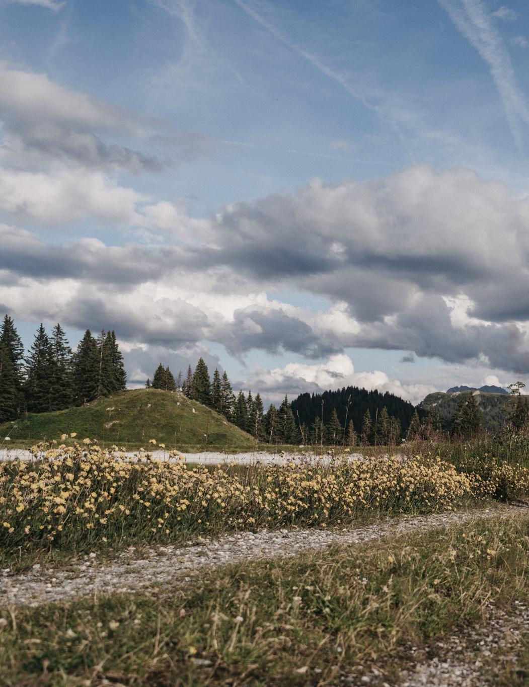 Goldegger Rundweg - leicht