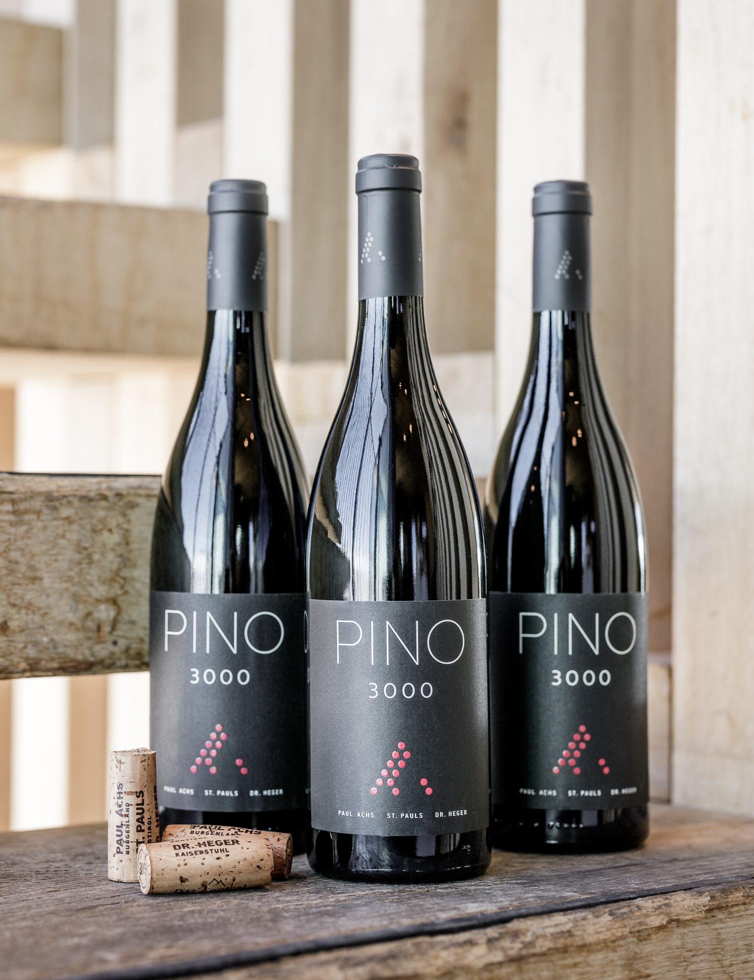 PINO 3000