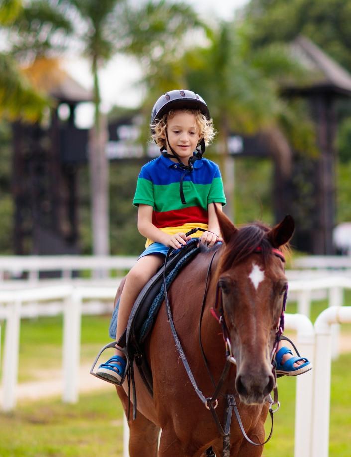 Spiel und Spaß mit Ponys im Pferdehof Bentele