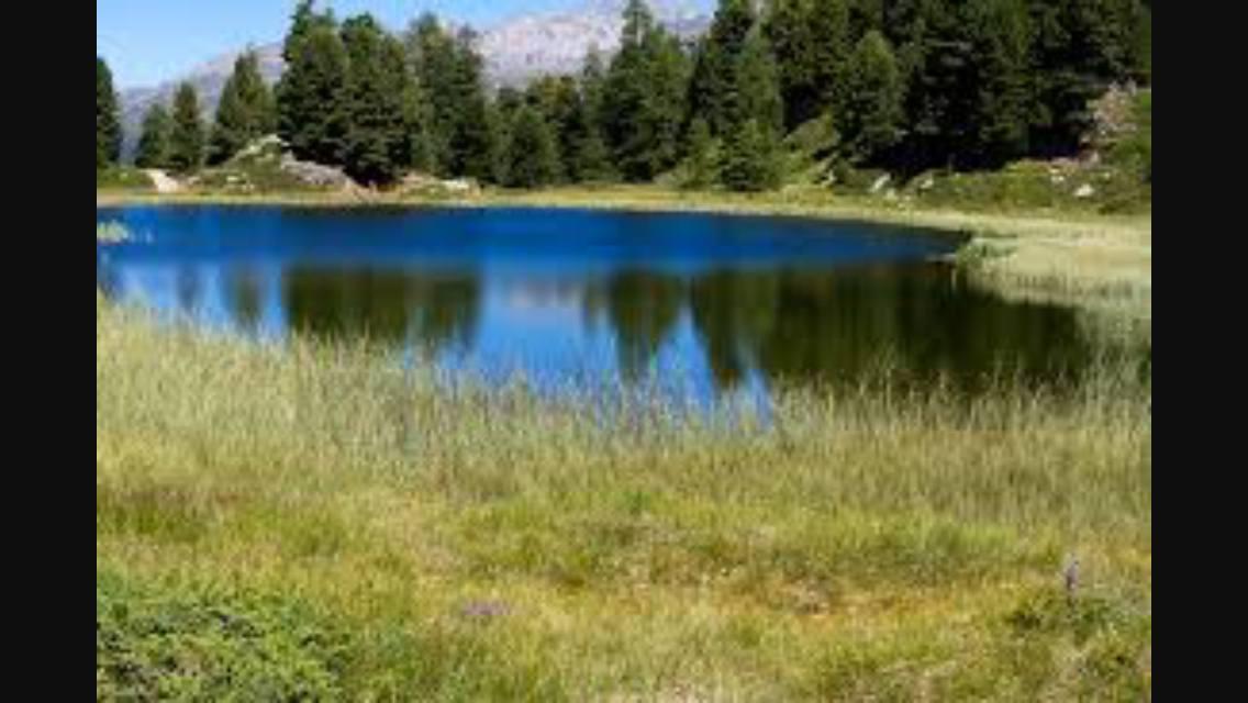 Wim Hof method on Hahnensee 