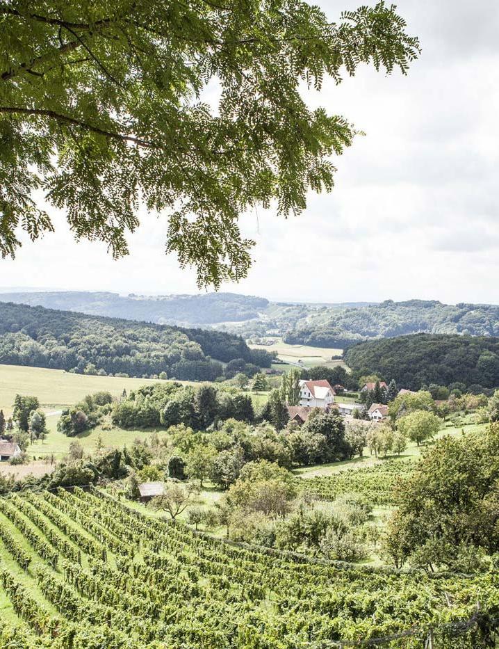 WANDERN
