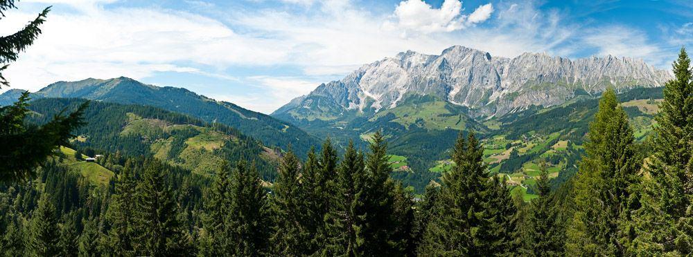 Hochglocker - mittel 