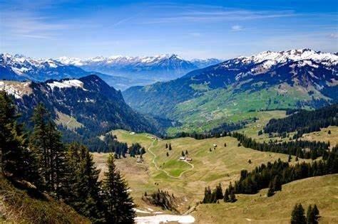 Habkern - Exkursion mit dem Ranger im Hochmoor