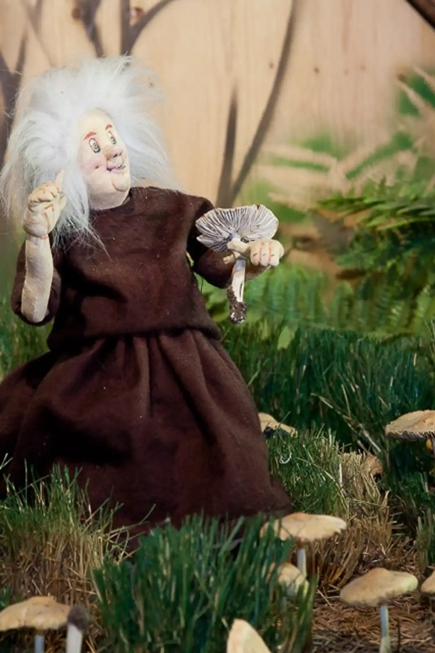 Pilz- und Puppenmuseum