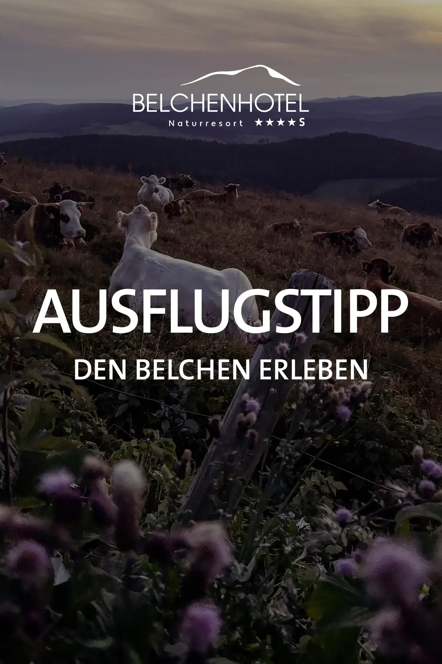 Excursion tip - Experience Belchen region