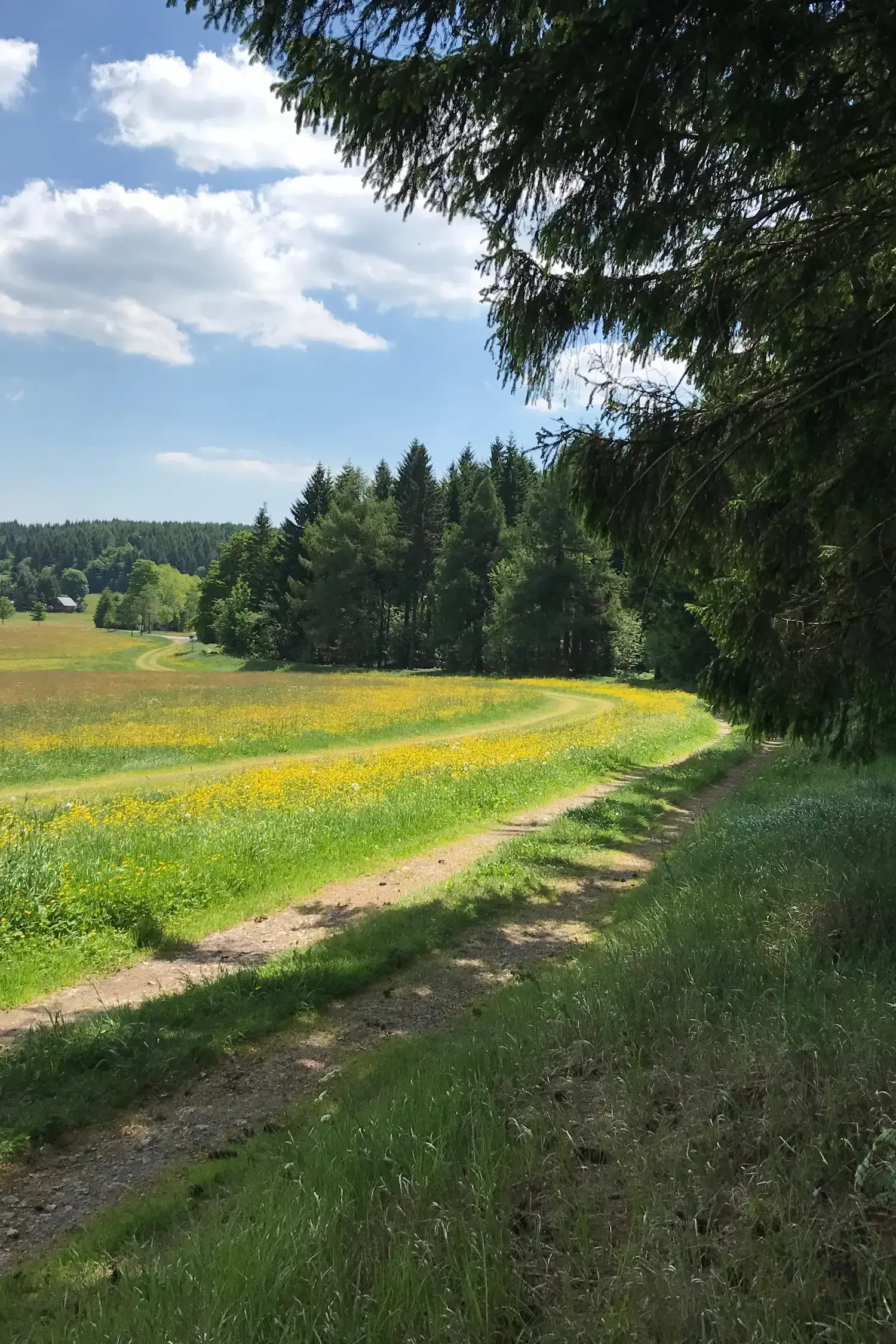 EuroRando 2026: Europe's Largest Hiking Festival Around Fichtelberg & Keilberg