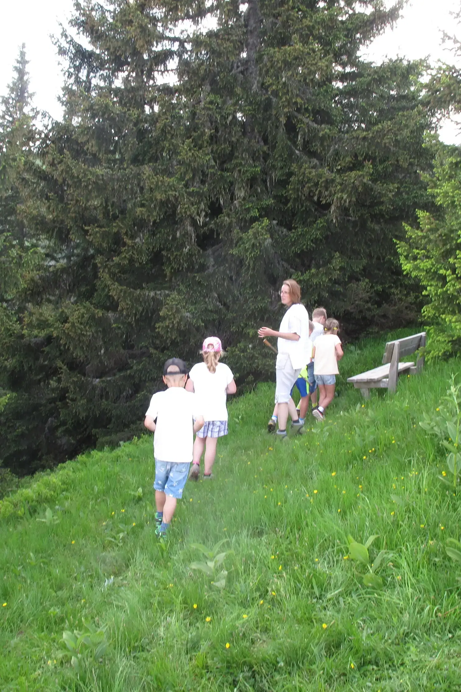 "The Mountain King & Forest Spirits" Fairy Tale Adventure Hike