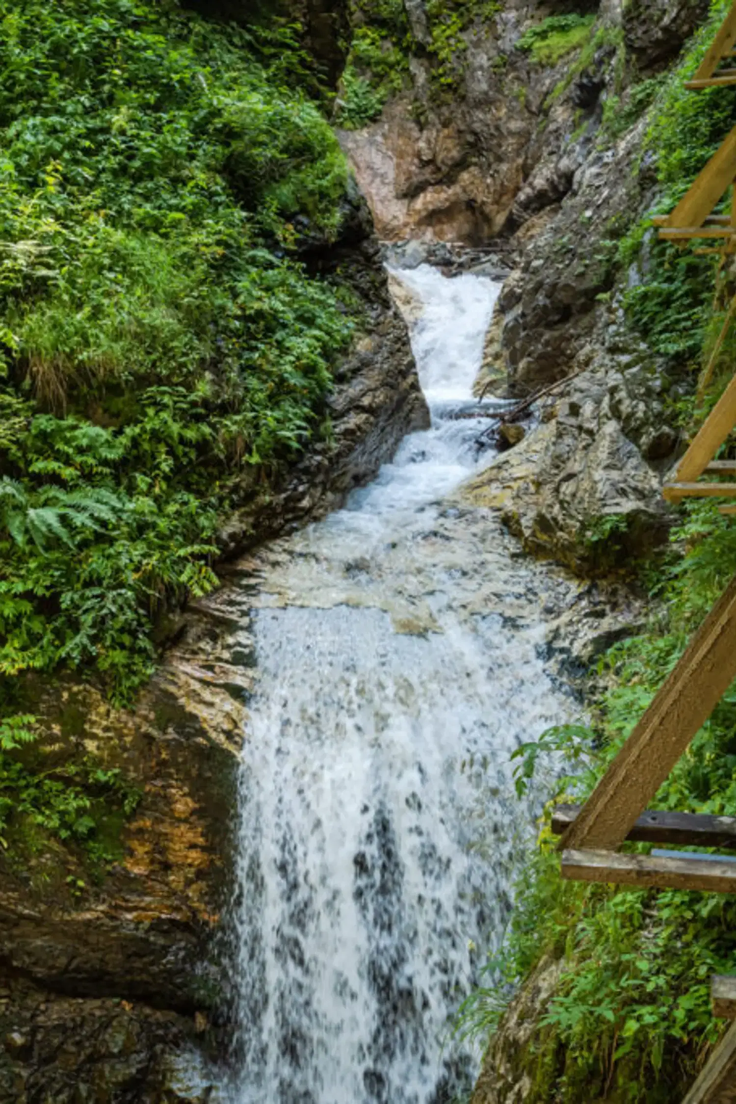 Groppensteinschlucht