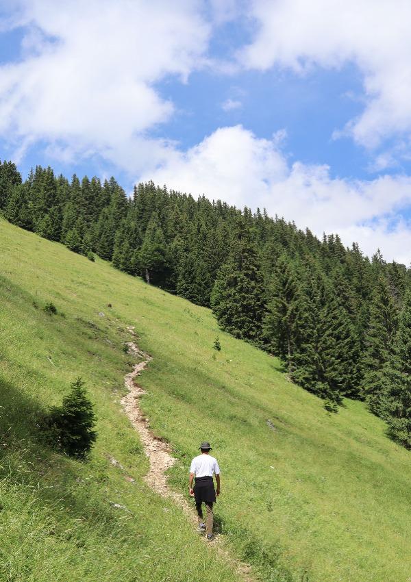 Wandern in der Natur - starten Sie direkt vom Hotel.