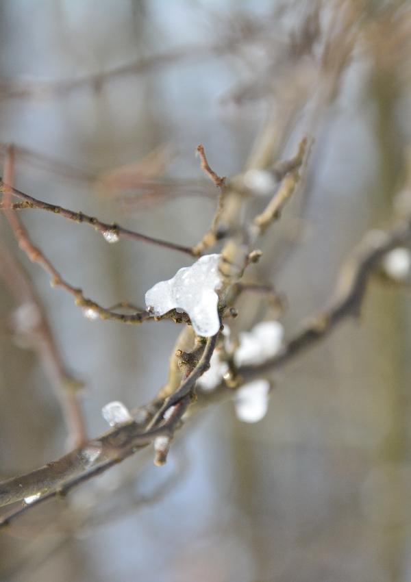 Eislaufen