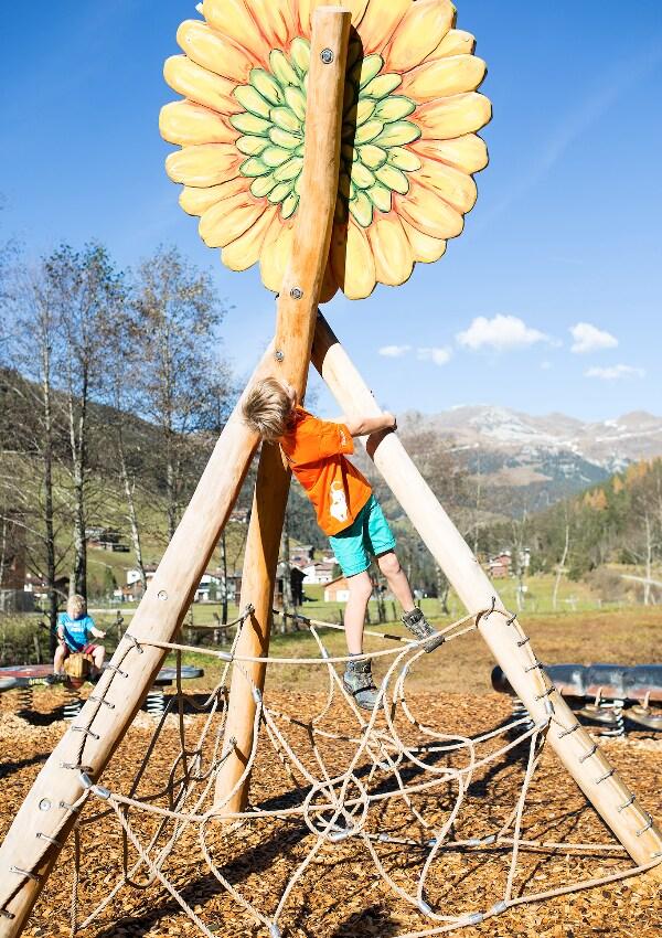 Pflanzenwelt