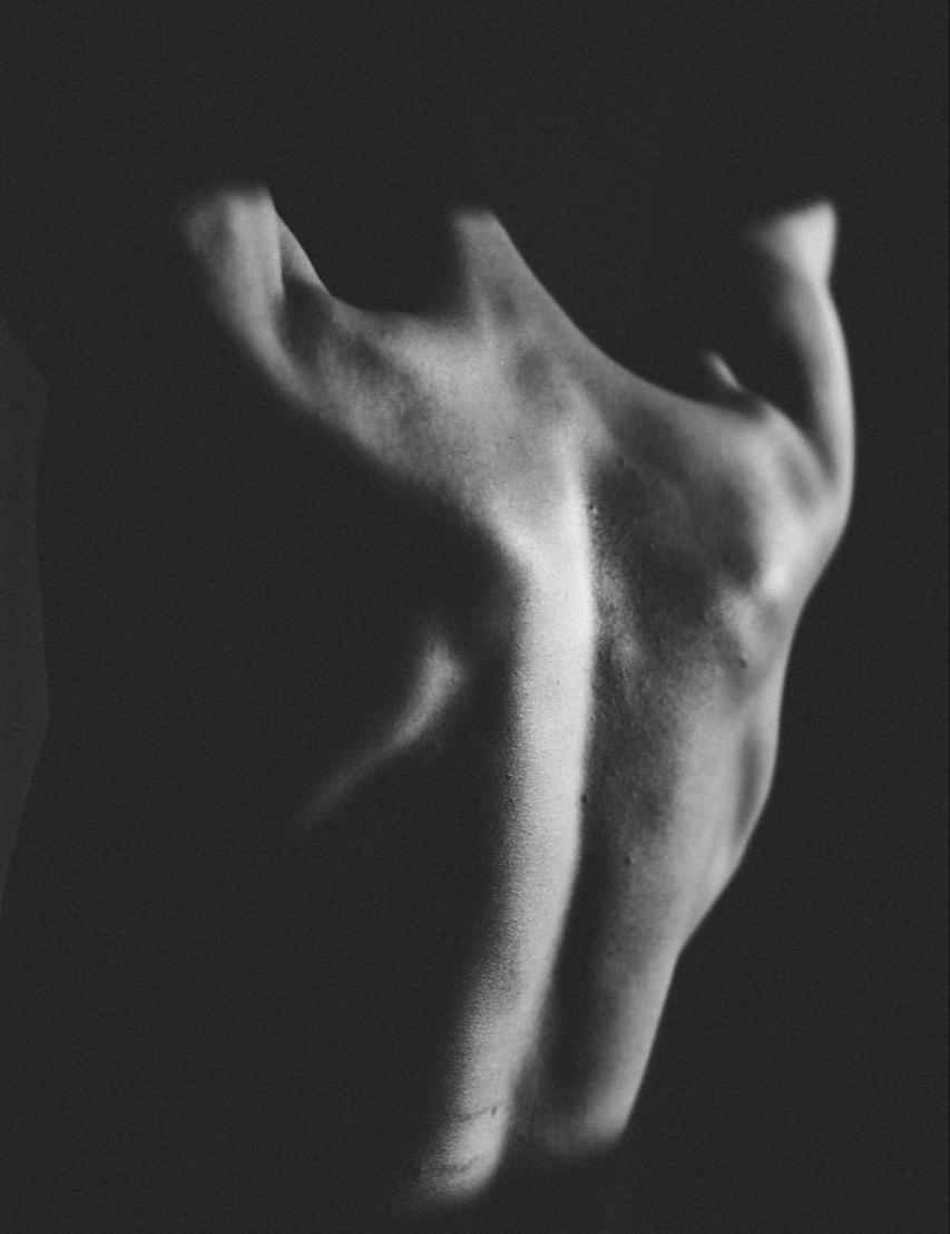 BACK DELIGHT