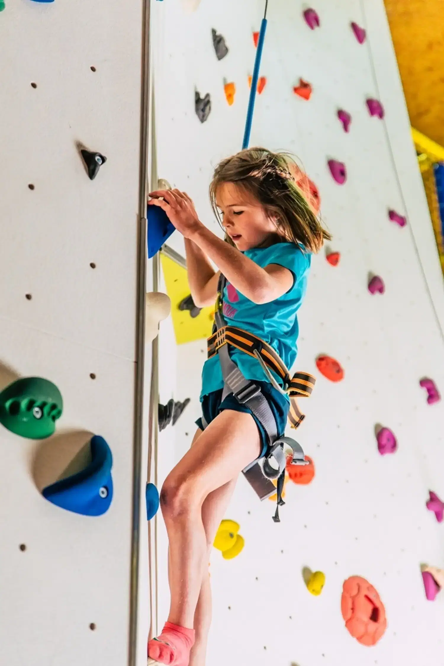 PLAYARENA KletterMax.imal