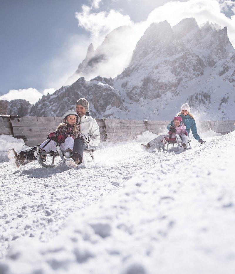 Tobogganing safari