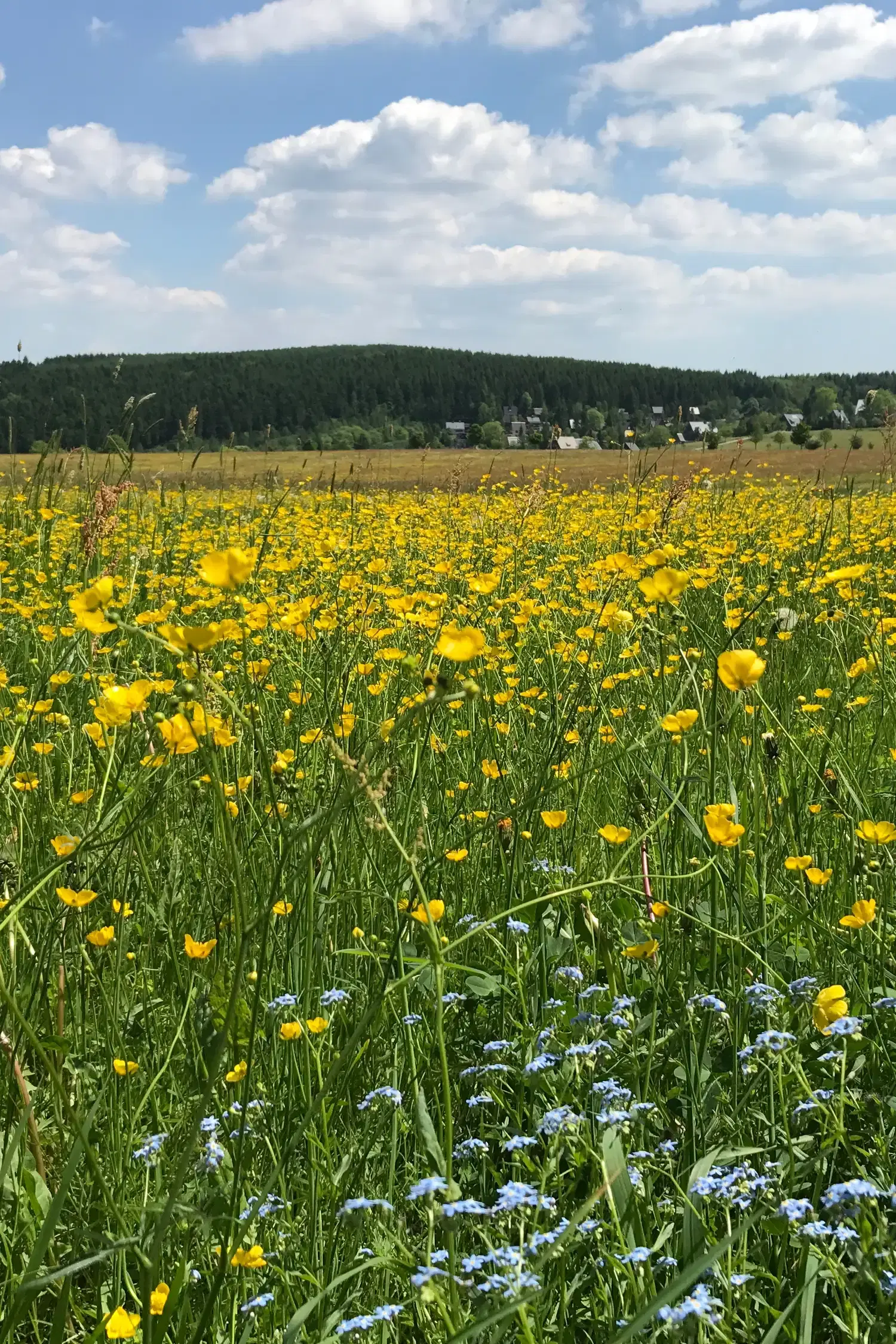 Fall Hiking Week “Around the Schwartenberg” | October 1, 2026 – October 11, 2026