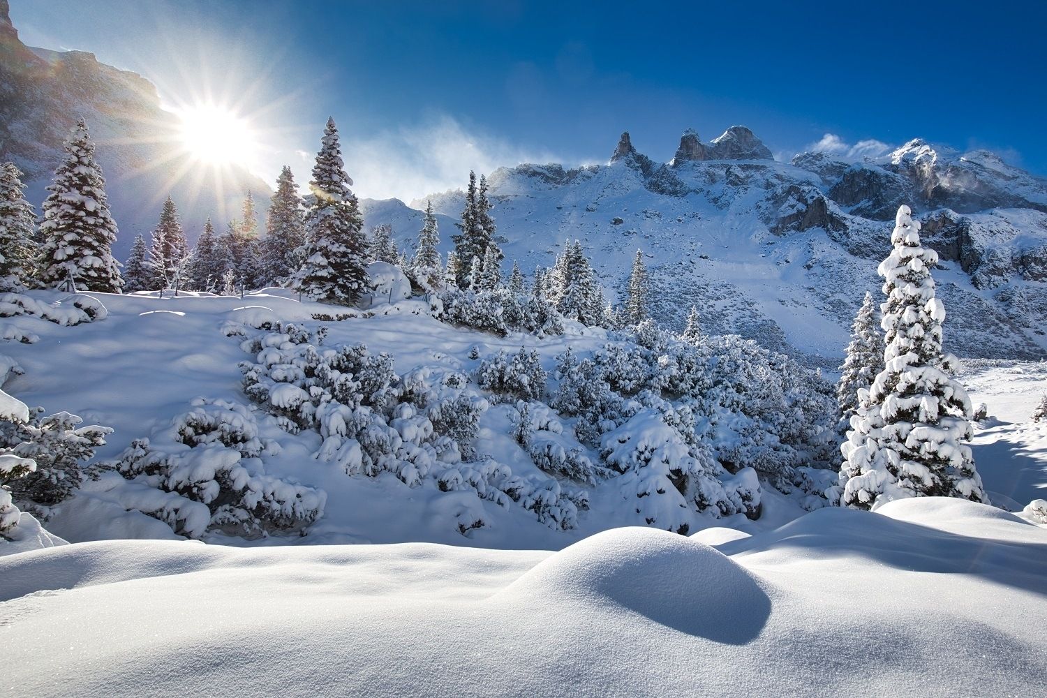 Schneeschuhwanderung Gauertal