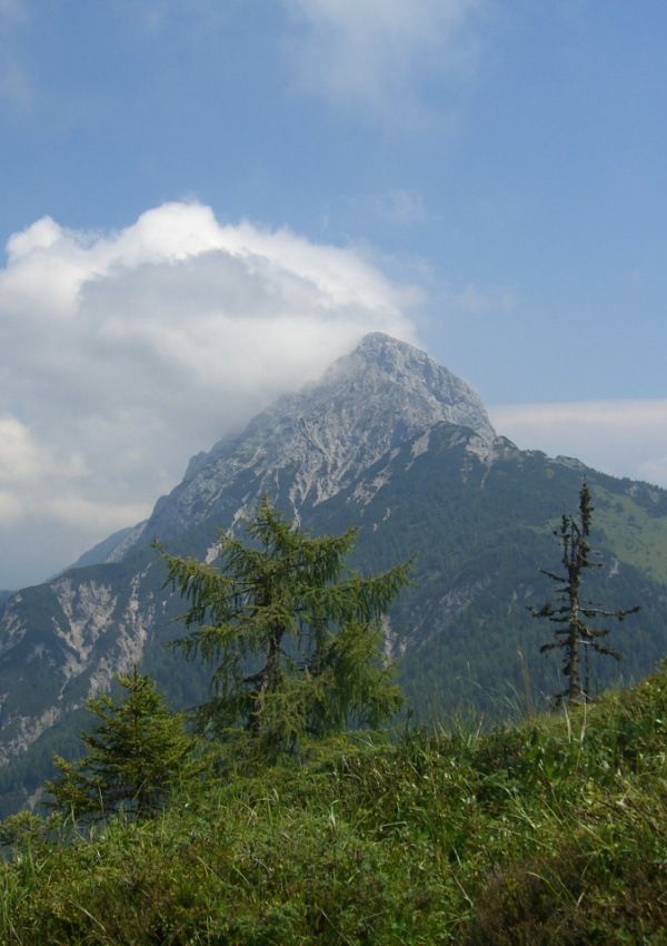 Wanderung mit Christian zum Hochwipfel