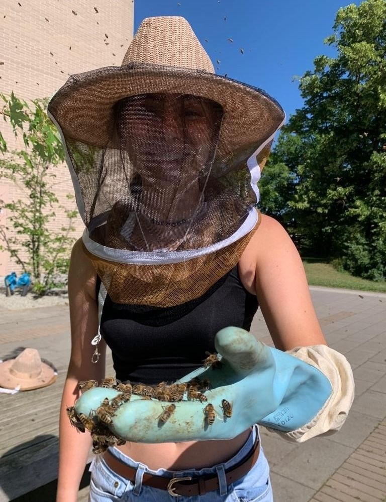 The wonder world of the honey bee