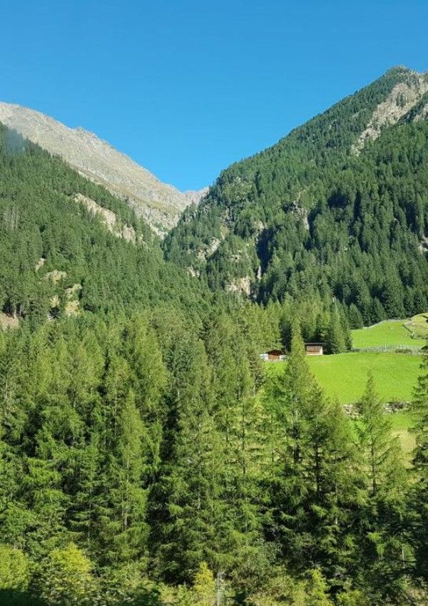 Meine Wanderempfehlung: Alpengasthof Feuerstein