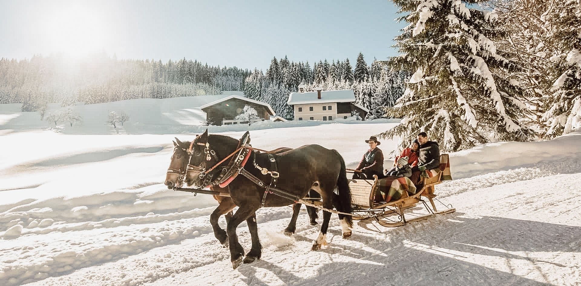 Pferdeschlittenfahrt 
