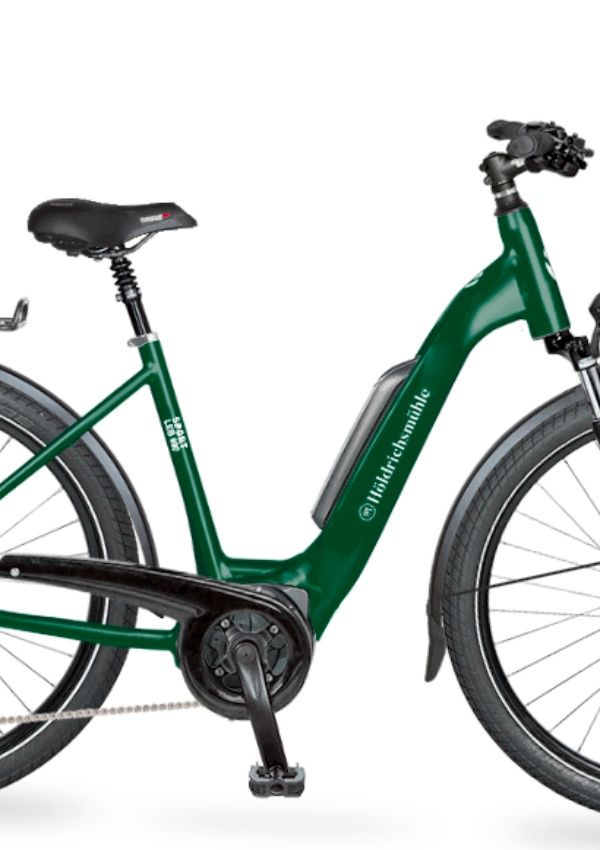 E-Trekking Bike Verleih