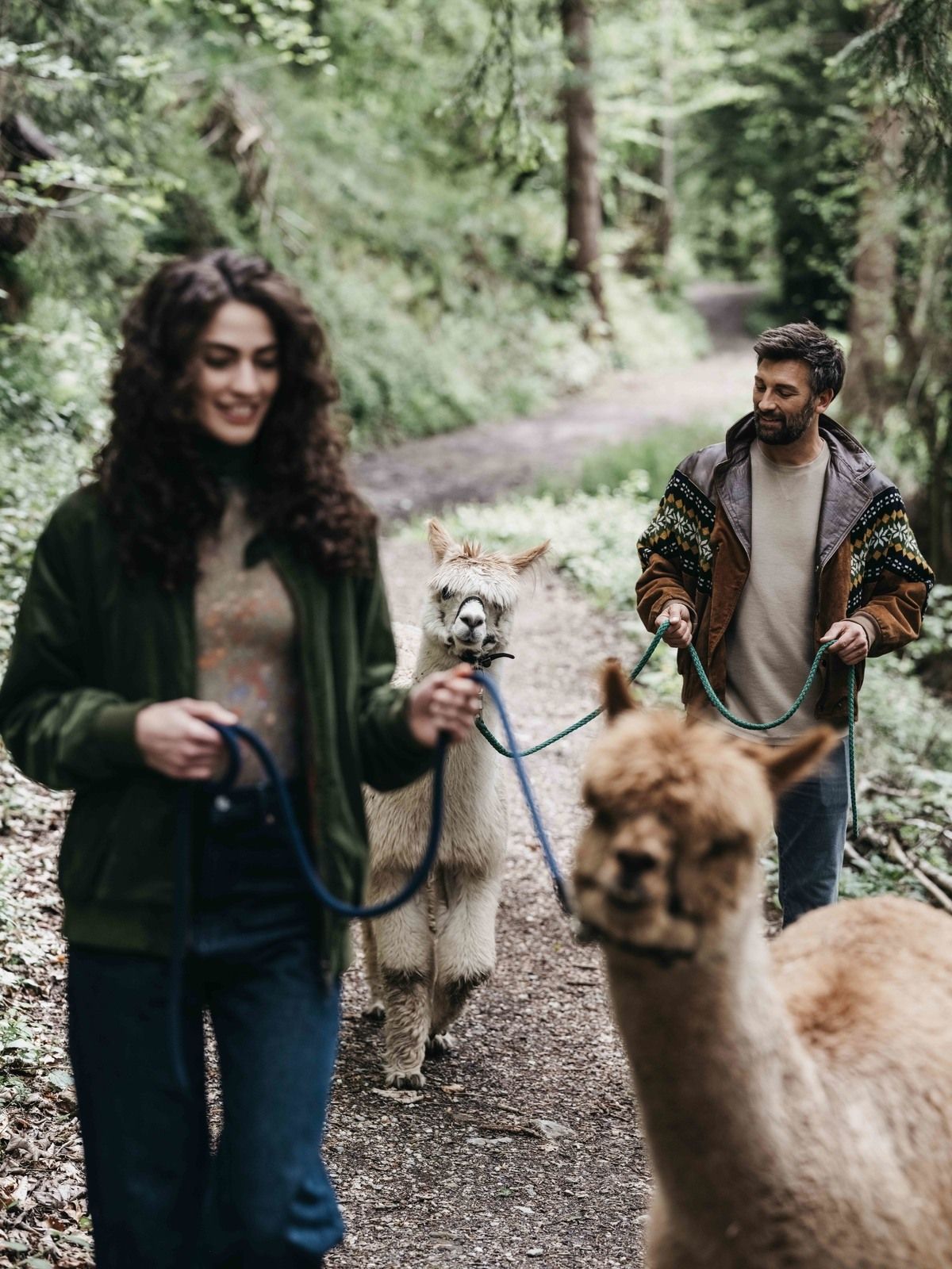 DIY Alpakawanderung