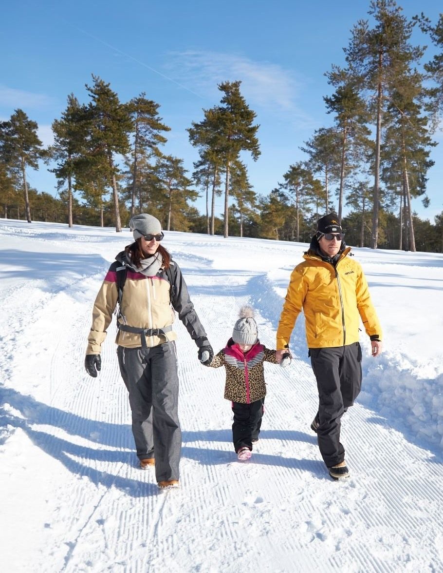 Nature experience winter hike on the Mieminger Plateau (approx. 35km from Innsbruck)