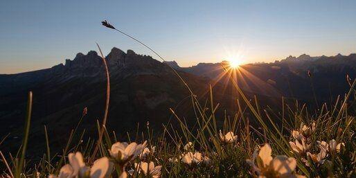 Der frühe Vogel fängt den Wurm - Sonnenaufgang am Latemar mit Monika