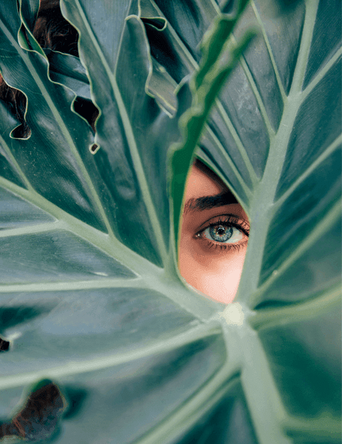 Beauty Service - AUGEN