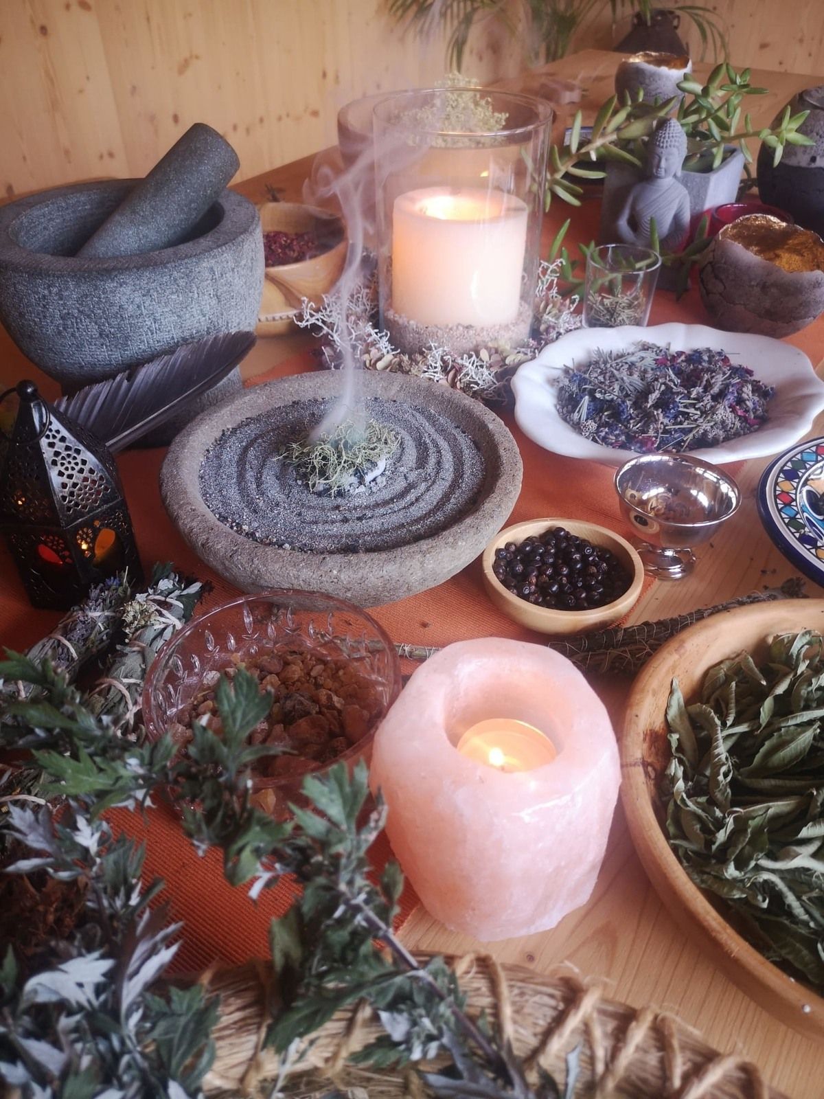 Gegen alles ist ein Kraut gewachsen | Kräuterwanderung