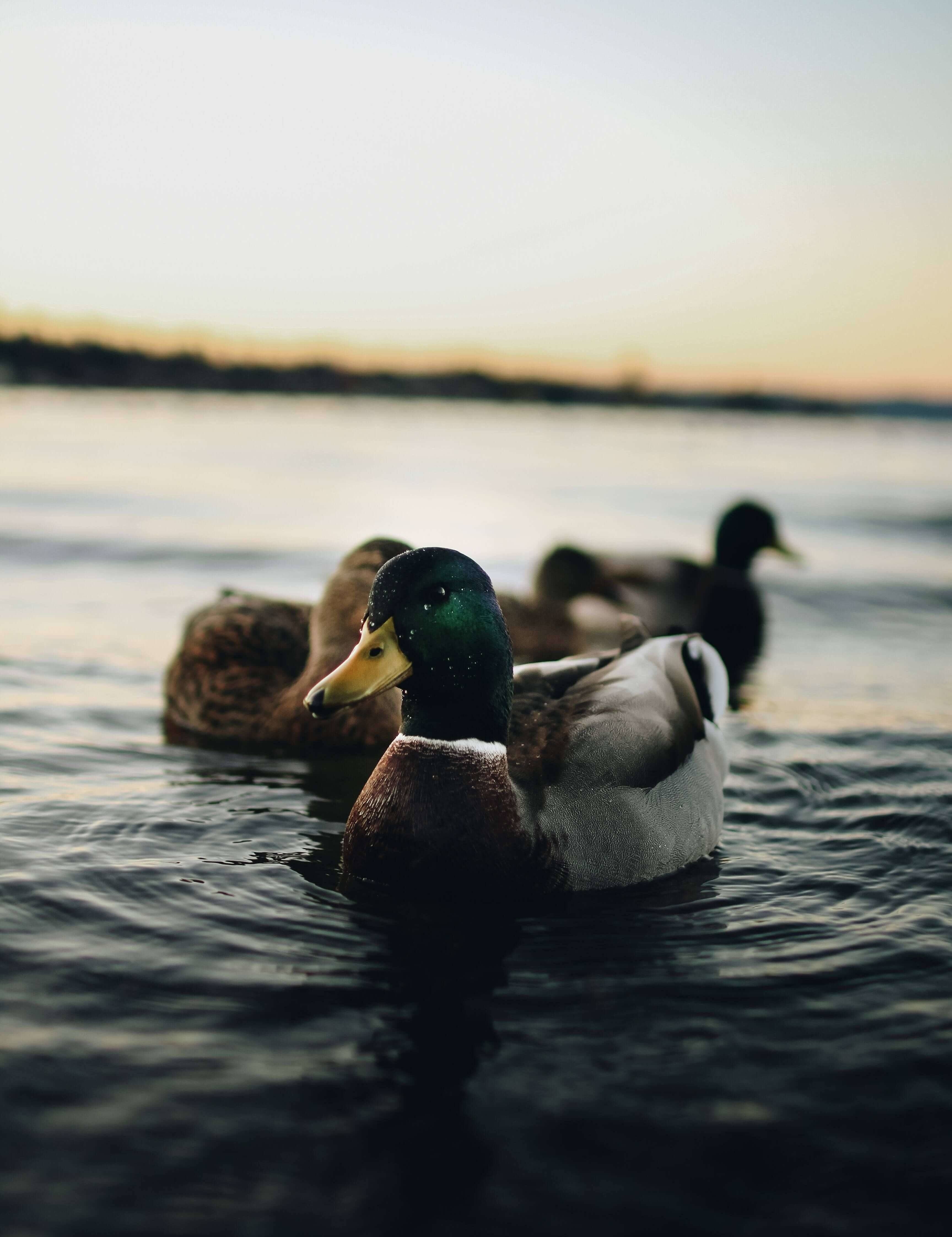 Geopark erkunden mit vielen interessanten Themen