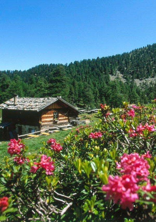 Bike Shuttle Naturno - Alte Säge | Freiberg