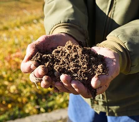 Weine Südtirols - Besichtigung der Kellerei & Verkostung