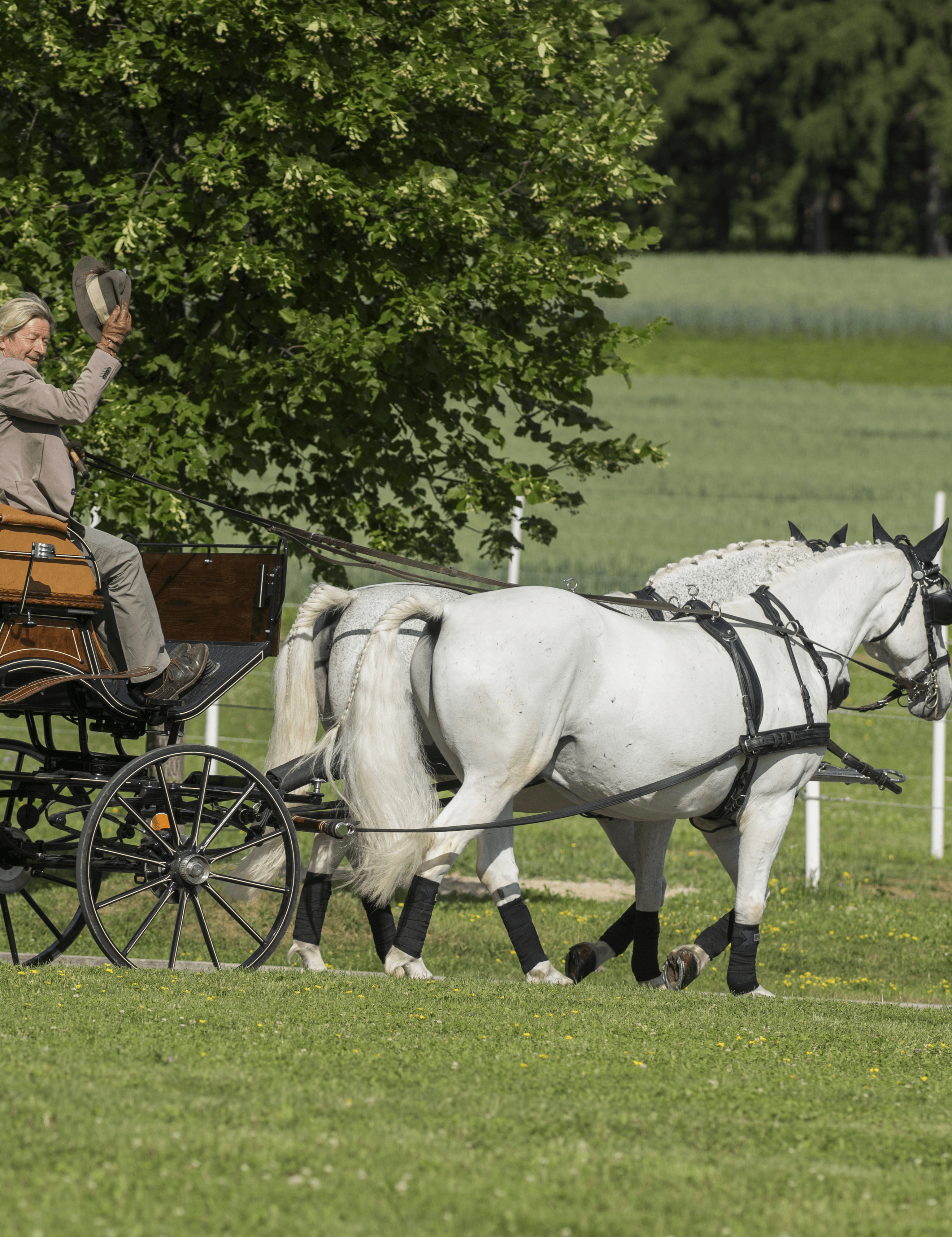 Romantische Kutschenfahrt mit Viktorianischer Kutsche