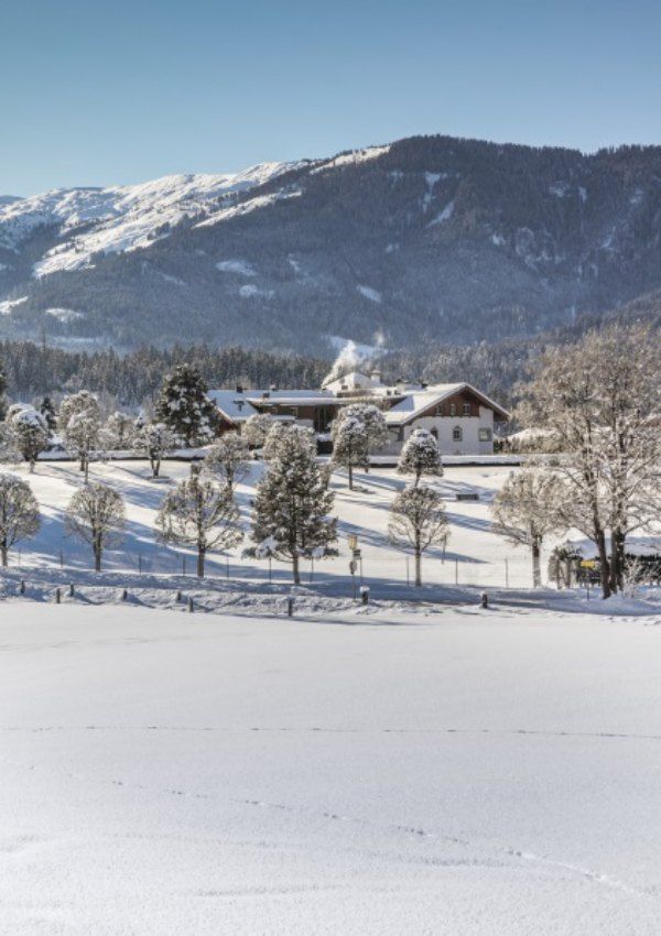 Mit dem Segway durch den Schnee