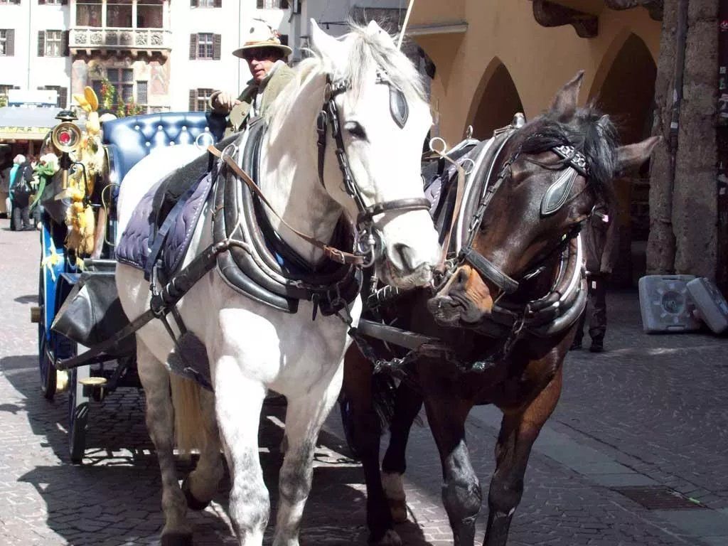 Romantische Fiakerfahrt durch Innsbruck