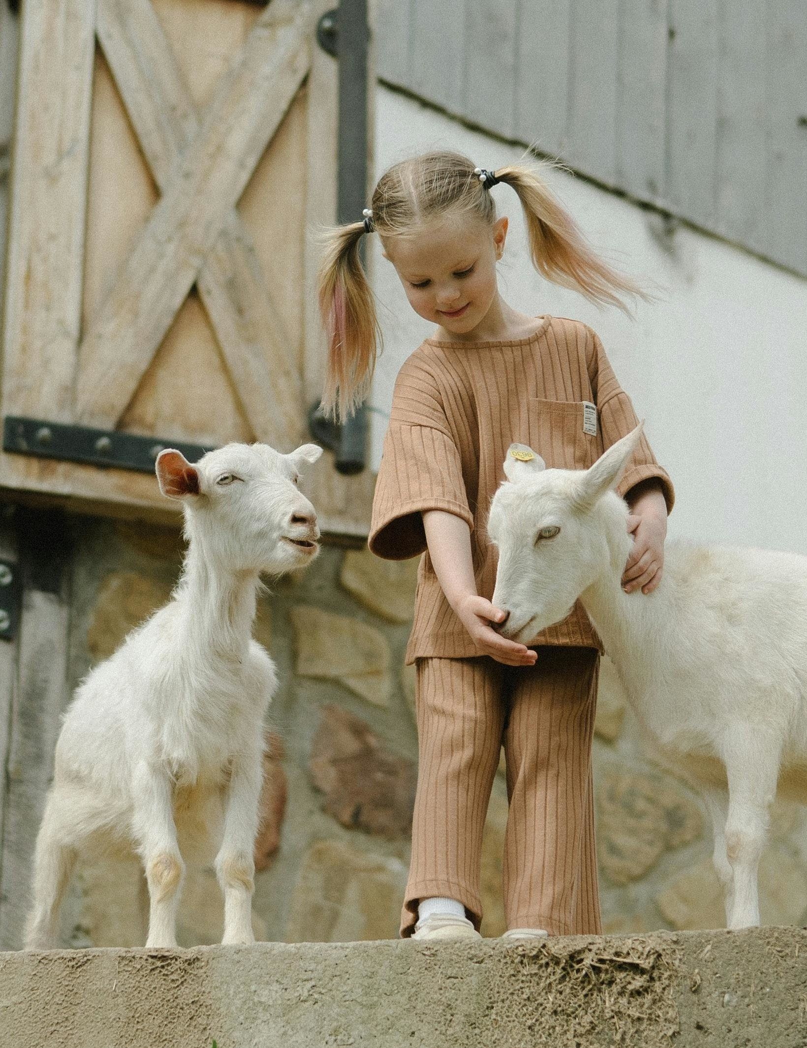 Gemeinsames Füttern unserer Schafe