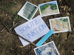 Waldpädagogische Führung