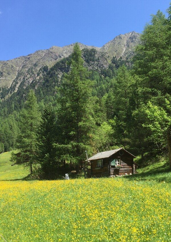 Meine Wanderempfehlung : Stabelealm