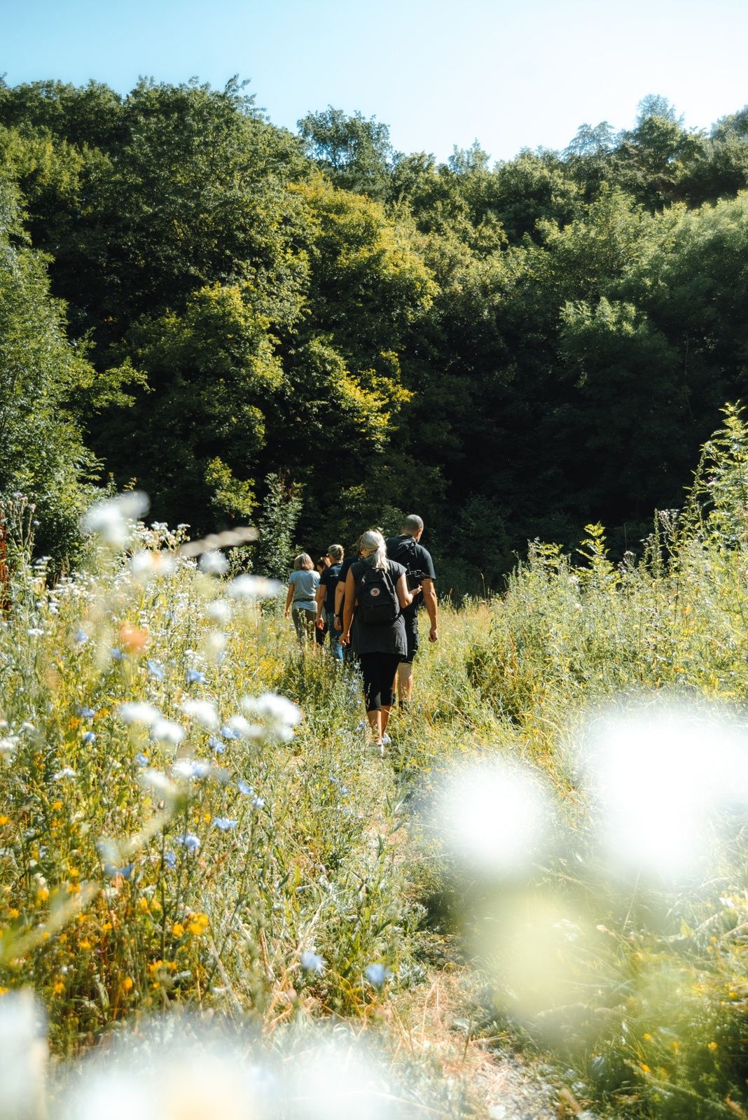 WienerWaldGenuss - Der (verkostbare) Wienerwald (Führung)