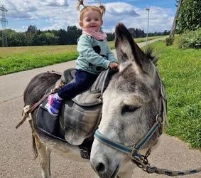 Geführte Eselwanderung