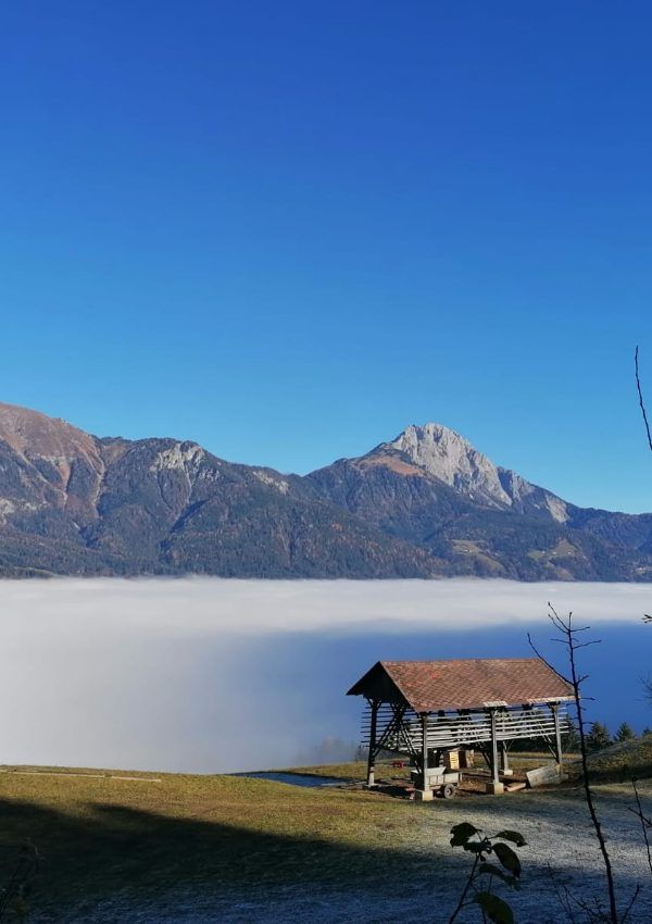 Wanderung mit Sigrid Krohnhof - Krieghof - Mahlbach