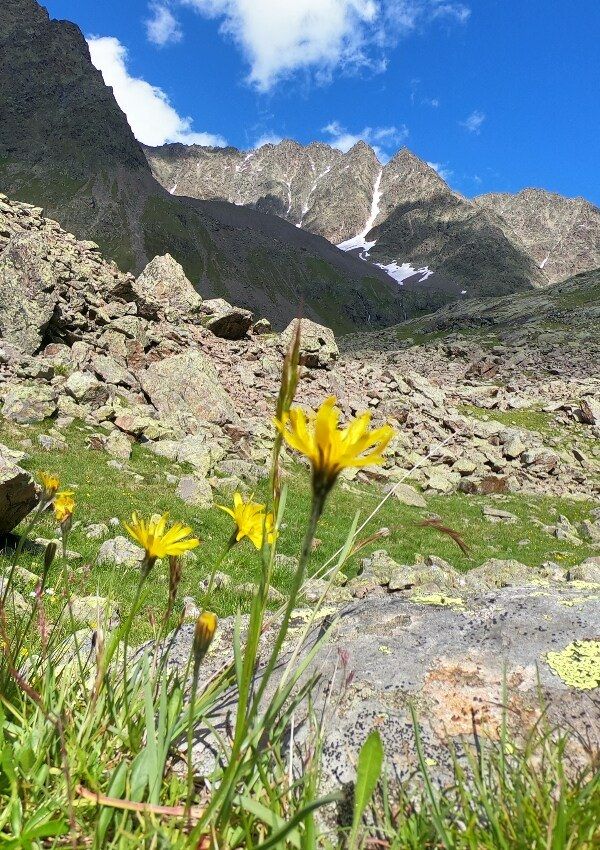 Meine Wanderempfehlung : Hauerseehütte 2383m