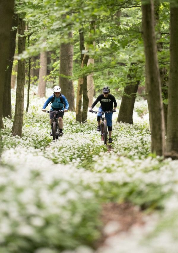 Mountainbiking auf alter Rodelstrecke 