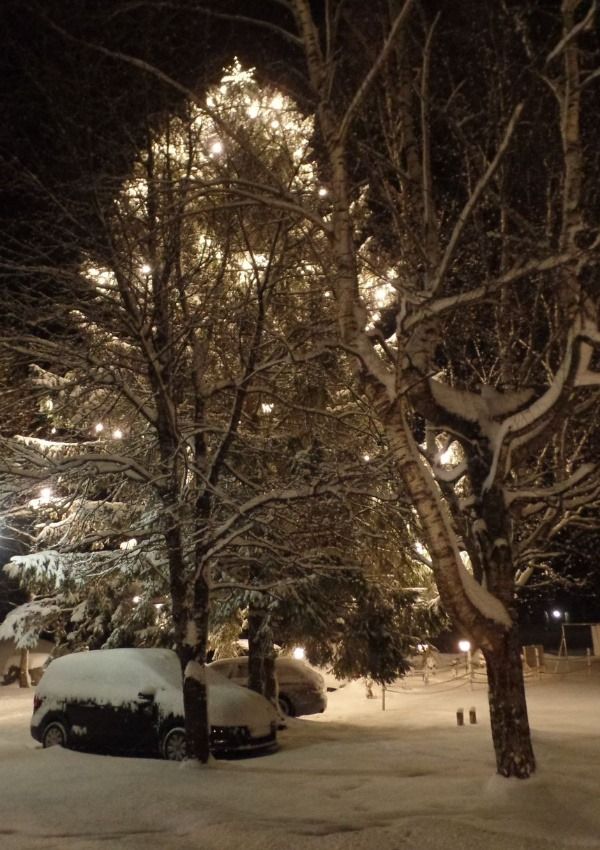 Winter Night - Fackelwanderung mit Glühwein am Lagerfeuer 